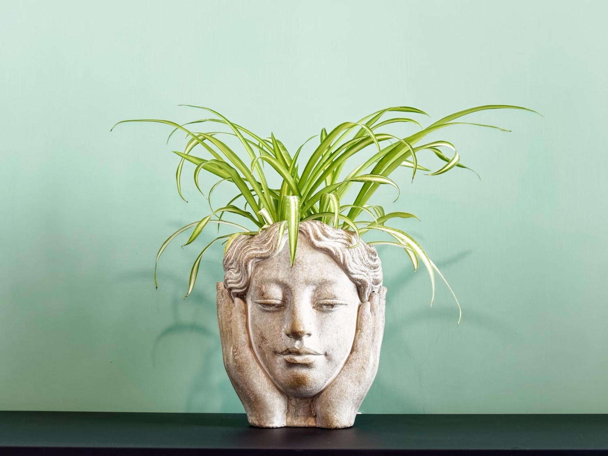Susanna Boutique Home Vico Equense Exterior photo